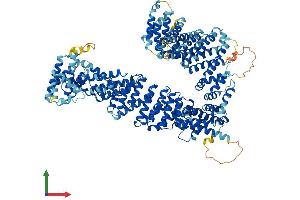 AlphaFold protein structure predicition of Human Recombinant NCAPG2 Protein, UniprotID Q86XI2