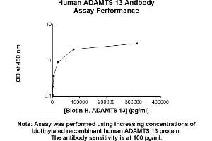 Image no. 2 for anti-ADAM Metallopeptidase with Thrombospondin Type 1 Motif, 13 (ADAMTS13) antibody (ABIN5566846)