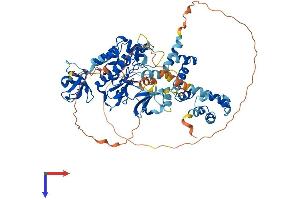 AlphaFold protein structure predicition of Mouse Recombinant Tnk1 Protein, UniprotID Q99ML2