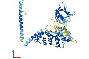 AlphaFold protein structure predicition of Human Recombinant CYTH1 Protein, UniprotID Q15438