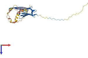 AlphaFold protein structure predicition of Human Recombinant HSPB1 Protein, UniprotID P04792