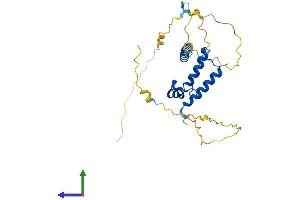 AlphaFold protein structure predicition of Human Recombinant SLBP Protein, UniprotID Q14493