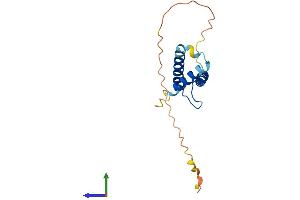 AlphaFold protein structure predicition of Human Recombinant TWIST2 Protein, UniprotID Q8WVJ9