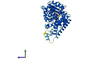 AlphaFold protein structure predicition of Human Recombinant CYP4F11 Protein, UniprotID Q9HBI6