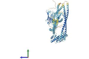 AlphaFold protein structure predicition of Mouse Recombinant Smc6 Protein, UniprotID Q924W5