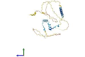 AlphaFold protein structure predicition of Human Recombinant CCDC117 Protein, UniprotID Q8IWD4