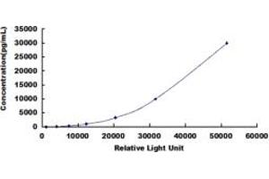 ELISA image for Tumor Necrosis Factor (Ligand) Superfamily, Member 10 (TNFSF10) CLIA Kit (ABIN491832)