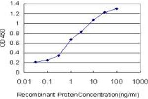 Detection limit for recombinant GST tagged MLLT1 is approximately 0. (MLLT1 anticorps  (AA 472-559))