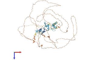 AlphaFold protein structure predicition of Mouse Recombinant Champ1 Protein, UniprotID Q8K327