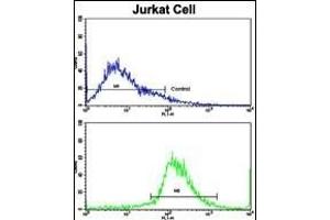 Flow cytometric analysis of jurkat cells using CECR5 Antibody (Center)(bottom histogram) compared to a negative control cell (top histogram).