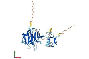AlphaFold protein structure predicition of Human Recombinant NEURL3 Protein, UniprotID Q96EH8