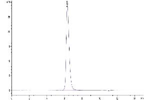 The purity of Biotinylated Human 4-1BB is greater than 95 % as determined by SEC-HPLC.