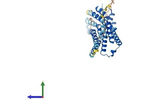 AlphaFold protein structure predicition of Mouse Recombinant Hcar1 Protein, UniprotID Q8C131