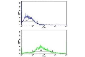 Flow cytometric analysis of SK-Br-3 cells using CD11c antibody (bottom histogram) compared to a negative control (top histogram).