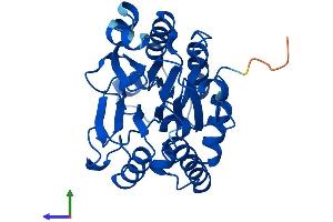 AlphaFold protein structure predicition of Mouse Recombinant Cpped1 Protein, UniprotID Q8BFS6
