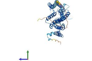 AlphaFold protein structure predicition of Mouse Recombinant Tram2 Protein, UniprotID Q924Z5