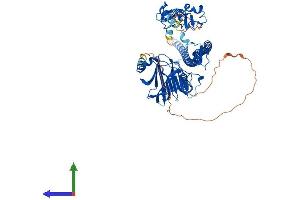 AlphaFold protein structure predicition of Mouse Recombinant Trim25 Protein, UniprotID Q61510