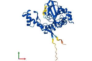 AlphaFold protein structure predicition of Mouse Recombinant Ogfod2 Protein, UniprotID Q9CQ04