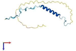 AlphaFold protein structure predicition of Human Recombinant ANAPC15 Protein, UniprotID P60006