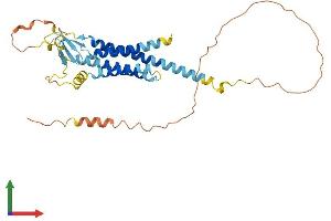 AlphaFold protein structure predicition of Mouse Recombinant Cacng4 Protein, UniprotID Q9JJV4