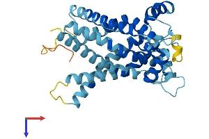 AlphaFold protein structure predicition of Mouse Recombinant Slc25a19 Protein, UniprotID Q9DAM5