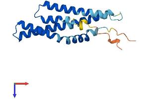 AlphaFold protein structure predicition of Mouse Recombinant Mtfp1 Protein, UniprotID Q9CRB8
