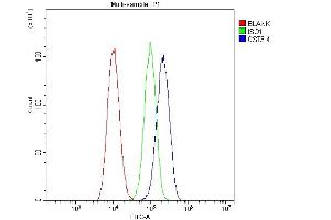 Flow Cytometry analysis of A549 cells using anti-Cystatin C/CST3 antibody (ABIN6719299). (CST3 anticorps  (AA 31-146))