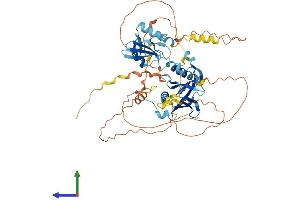 AlphaFold protein structure predicition of Human Recombinant SHC2 Protein, UniprotID P98077
