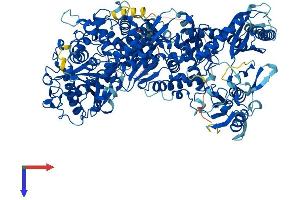 AlphaFold protein structure predicition of Human Recombinant NOL6 Protein, UniprotID Q9H6R4