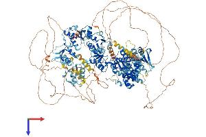 AlphaFold protein structure predicition of Human Recombinant TOPBP1 Protein, UniprotID Q92547