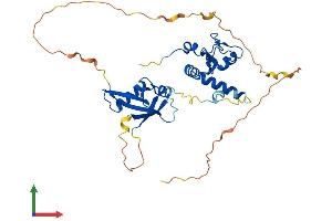 AlphaFold protein structure predicition of Human Recombinant PCGF2 Protein, UniprotID P35227