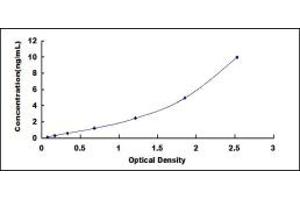Typical standard curve (Desmocollin 1 Kit ELISA)