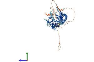 AlphaFold protein structure predicition of Mouse Recombinant Tlk2 Protein, UniprotID O55047