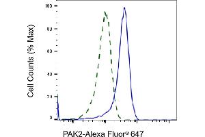 Validation of PAK2 knockdown using flow cytometry. (Recombinant PAK2 anticorps)