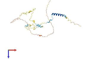 AlphaFold protein structure predicition of Mouse Recombinant Spats1 Protein, UniprotID A2RRY8