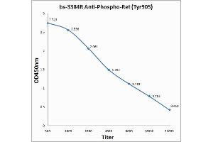 Antigen: 0. (Ret Proto-Oncogene anticorps  (pTyr905))