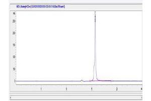 Image no. 2 for Fibrillin 1 (FBN1) (AA 2727-2742) peptide (Ovalbumin) (ABIN5666168) (Fibrillin 1 (FBN1) (AA 2727-2742) peptide (Ovalbumin))