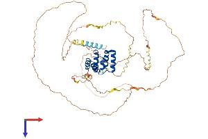AlphaFold protein structure predicition of Mouse Recombinant Mavs Protein, UniprotID Q8VCF0