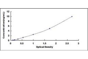 Typical standard curve