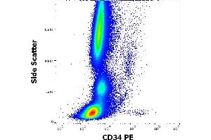 Flow cytometry surface staining pattern of human peripheral whole blood stained using anti-human CD34 (QBEND-10) PE antibody (20 μL reagent / 100 μL of peripheral whole blood). (CD34 anticorps  (PE))