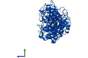 AlphaFold protein structure predicition of Human Recombinant TKTL2 Protein, UniprotID Q9H0I9