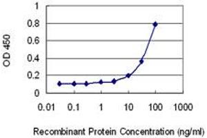 Detection limit for recombinant GST tagged HIPK4 is 3 ng/ml as a capture antibody. (HIPK4 anticorps  (AA 519-616))