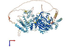 AlphaFold protein structure predicition of Human Recombinant HPS5 Protein, UniprotID Q9UPZ3