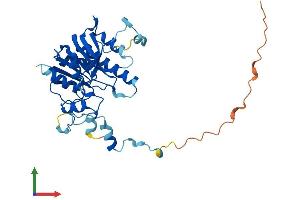 AlphaFold protein structure predicition of Human Recombinant FTSJ1 Protein, UniprotID Q9UET6