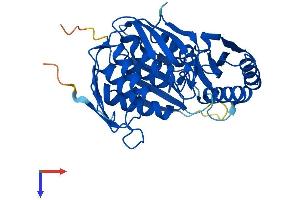 AlphaFold protein structure predicition of Human Recombinant RCL1 Protein, UniprotID Q9Y2P8