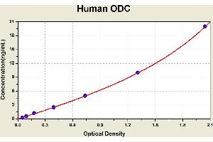 Diagramm of the ELISA kit to detect Human ODCwith the optical density on the x-axis and the concentration on the y-axis. (ODC1 Kit ELISA)