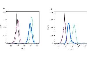 Establishing the effectiveness of the Rabbit IgG Isotype Control, alongside cell surface detection of NK1R by indirect flow cytometry in live intact mouse J774 macrophage cell line. (Lapin IgG Isotype Control)