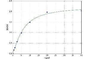 A typical standard curve