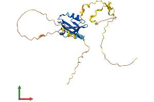 AlphaFold protein structure predicition of Mouse Recombinant Pdzd9 Protein, UniprotID Q9D9M4