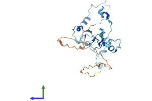 AlphaFold protein structure predicition of Human Recombinant CPSF4 Protein, UniprotID O95639